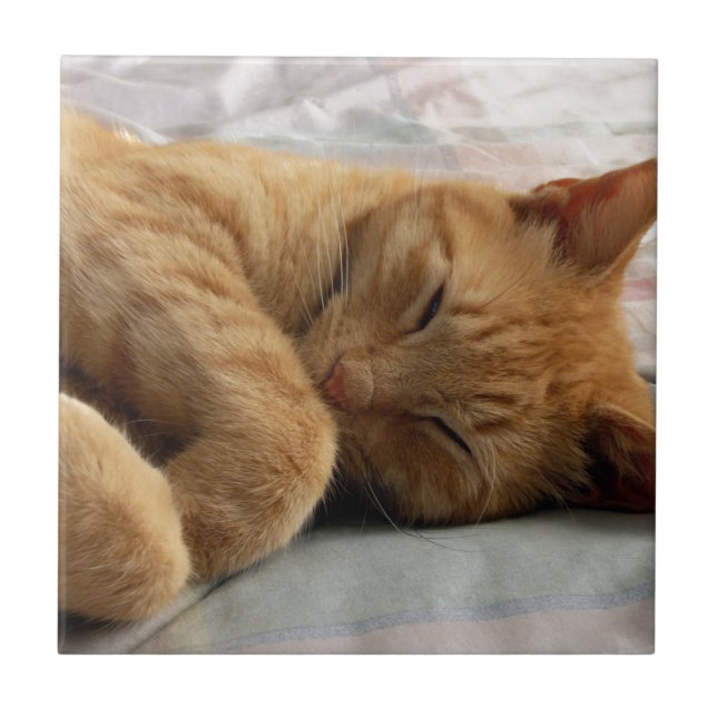 Carreau Sweet Dreams (Devant)