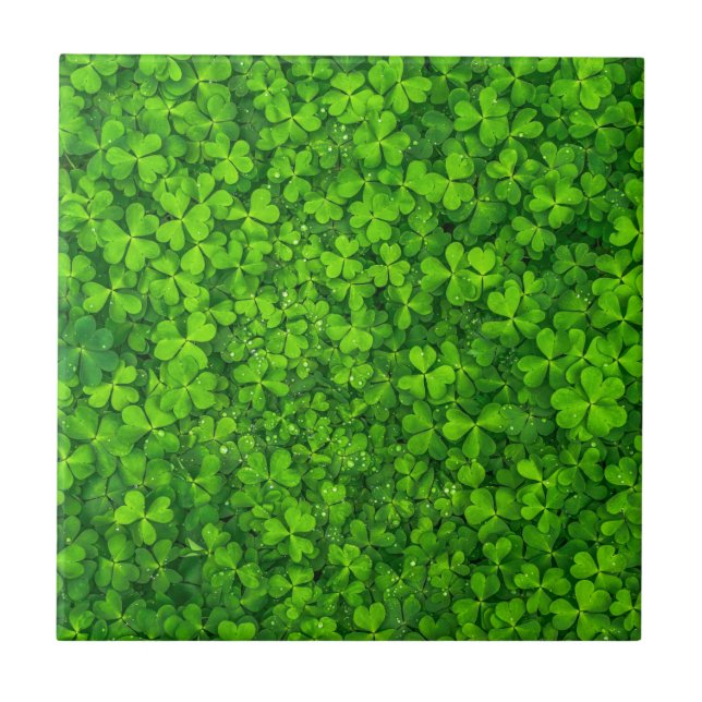 Carreau Symbole irlandais vert shamrock Clovers Irlande (Devant)