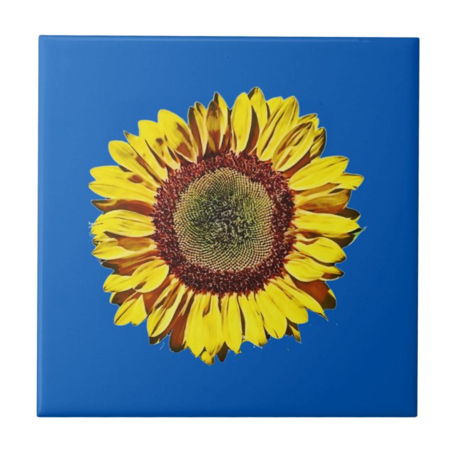 Carreau Symbole national de Tournesol Ukraine Arrière - pl (Devant)