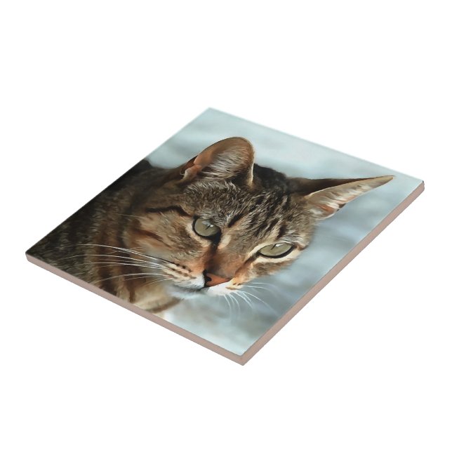 Carreau Tabby Cat étonnant FermerPortrait Artistique (Côté)