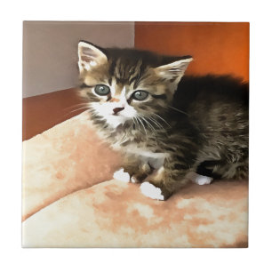 Carreau Tabby Cat Kitten Portrait pour animaux