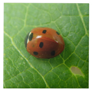 Carreau Table Ladybug