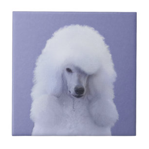 Carreau Tableau blanc standard de caniche - Art original d