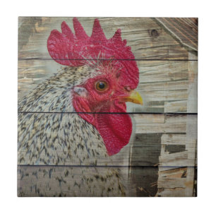 Carreau Tableau de la grange de poulet rustique Rooster