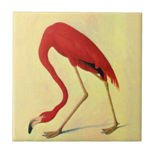 Carreau Tableau Flamant rose américain Audubon
