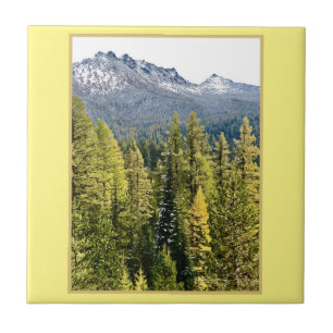 Carreau Tamarack Gold