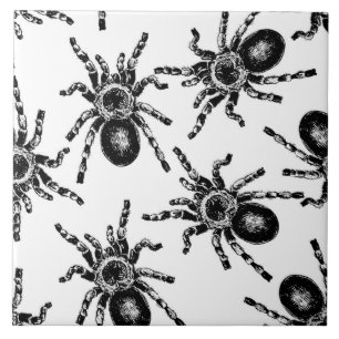 Carreau Tarantula