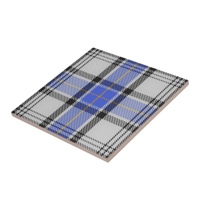 Carreau Tartan écossais d'expressions de Hannay de clan (Côté)
