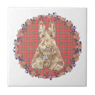 Carreau Tartan Scottie Blé