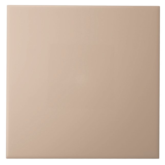Carreau Taupe Carrelage céramique Brown. (Devant)
