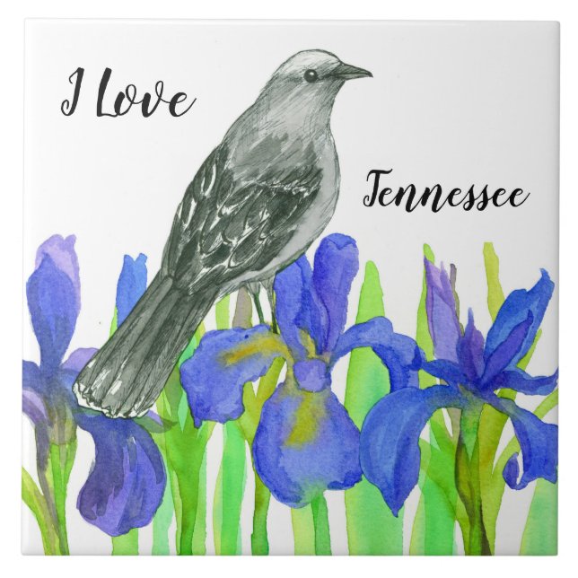 Carreau Tennessee Souvenir Oiseau jaune bleu Iris (Devant)