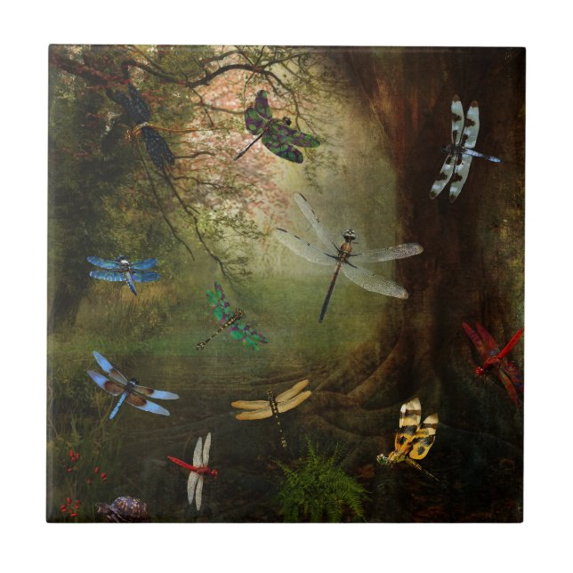 Carreau Terrain de jeu de libellule (Devant)