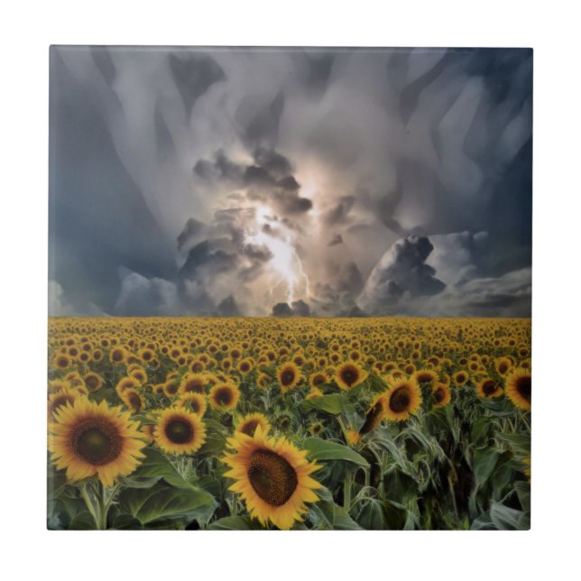 Carreau Terrain De Tournesol Dans Une Tempête (Devant)