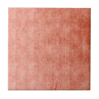 Carreau Terre cuite rustique