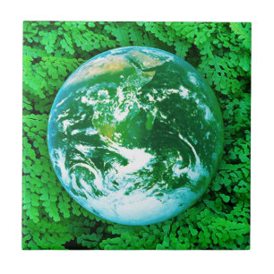 Carreau Terre verte, sensibilisation écologique