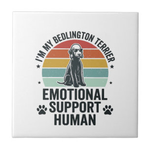 Carreau Terrier de Bedlington Soutien Émotionnel Humain Vi