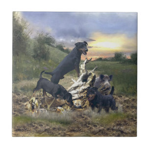 Carreau Terrier de chasse allemand (Jagdterrier)