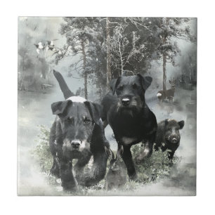 Carreau Terrier de chasse allemand, Le Jagdterrier, Art