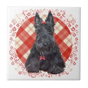 Carreau Terrier Écossais sur Tartan
