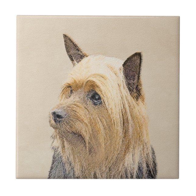 Carreau Terrier soyeux peignant - art original mignon de (Devant)