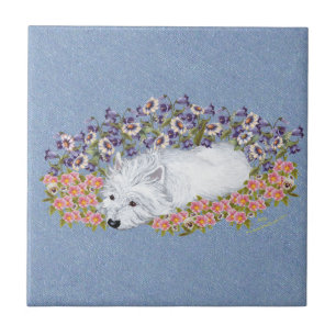Carreau Terrier West Highland White Repos