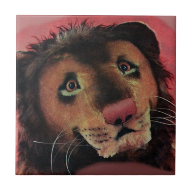 Carreau tête de lion de jouet (Devant)