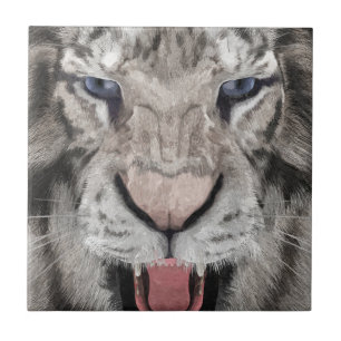 Carreau Tête de Tigre Blanc Esthétique Faunique