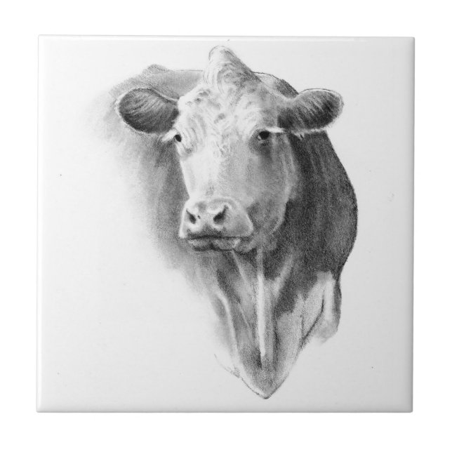 Carreau Tête de vache au crayon : Art de réalisme : Ferme, (Devant)