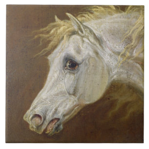 Carreau Tête d'un cheval Arabe gris (huile sur la toile