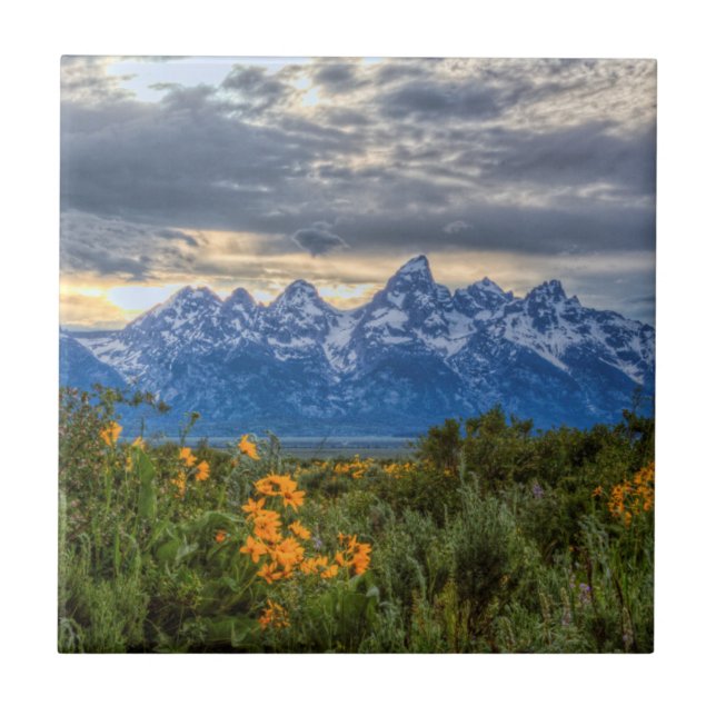 Carreau Tetons grand (Devant)