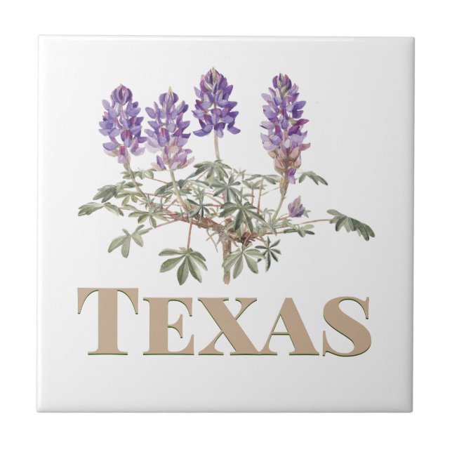 Carreau Texas Bluebonnet 2 (Devant)