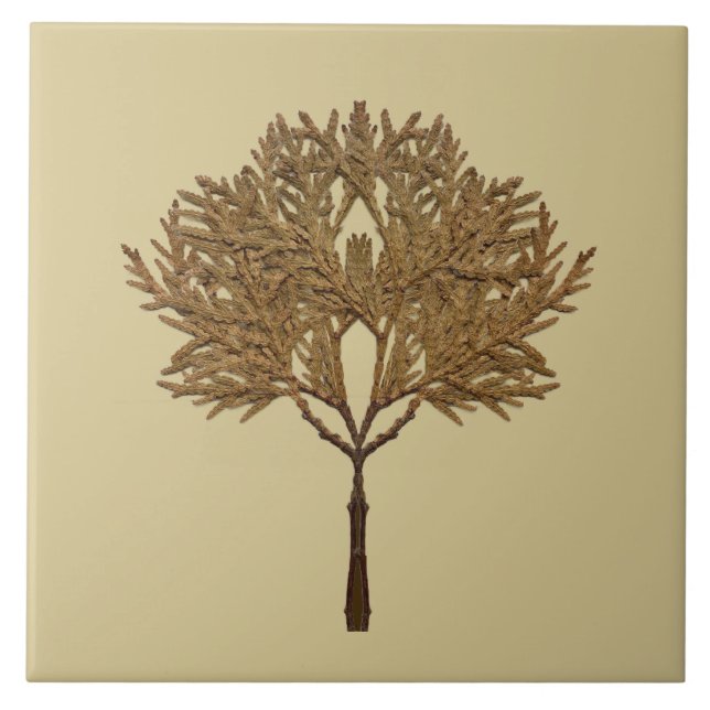 Carreau Textural Treasures of Winter on Ceramic Tile - D1 (Devant)