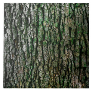 Carreau Texture d'écorce d'arbre