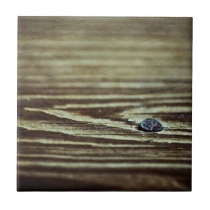 Carreau Texture du grain de bois par Shirley Taylor