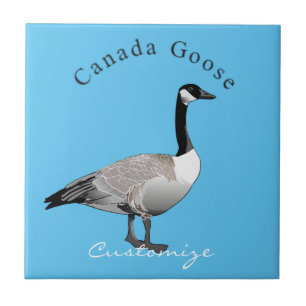 Carreau Thunder_Cove de Goose Gander