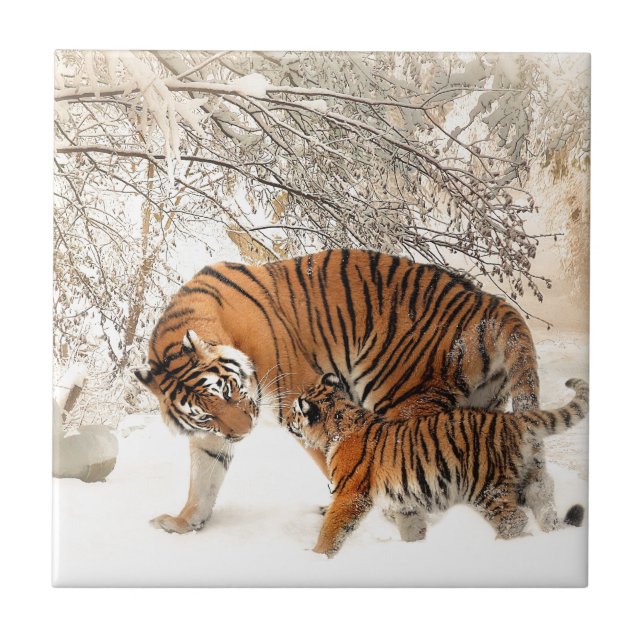 Carreau Tiger Mère et bébé (Devant)