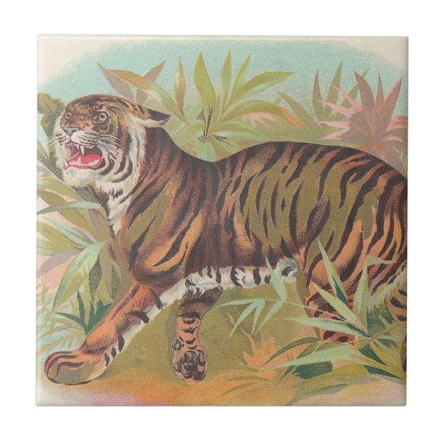 Carreau Tigre (Devant)