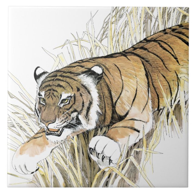 Carreau Tigre (Devant)