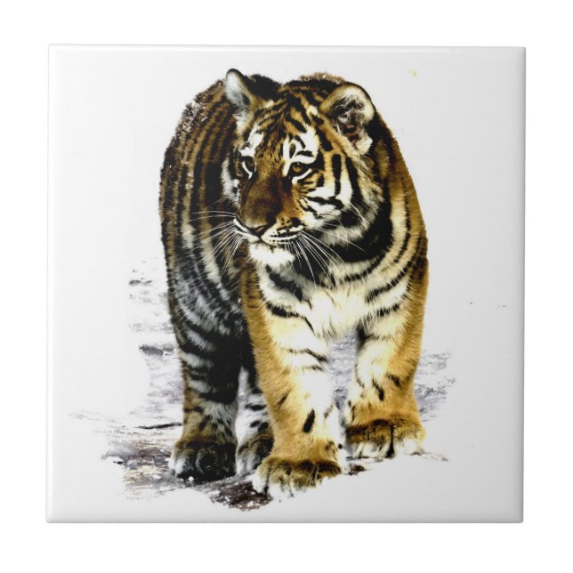 Carreau Tigre (Devant)