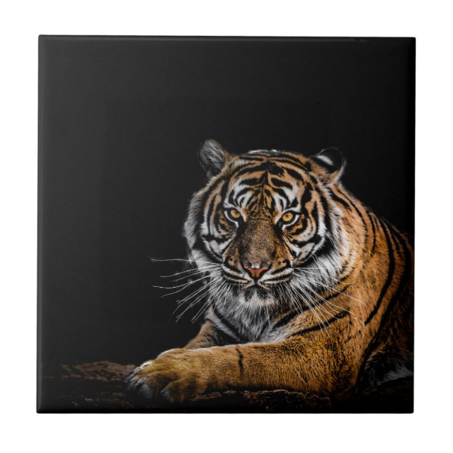 Carreau Tigre animal sauvage de la Jungle (Devant)