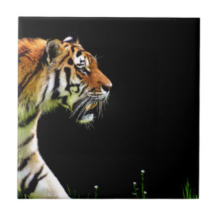 Carreau Tigre approchant - Oeuvres d'art d'animaux sauvage