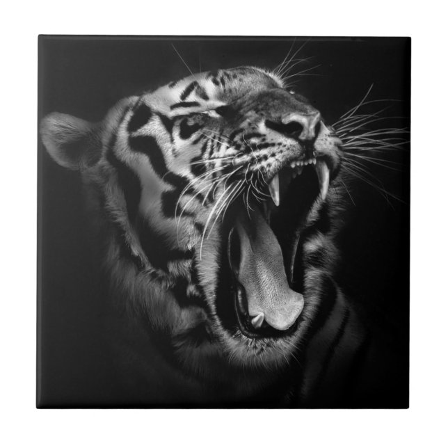 Carreau Tigre noir et blanc (Devant)