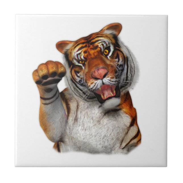 Carreau Tigre, Tigre (Devant)