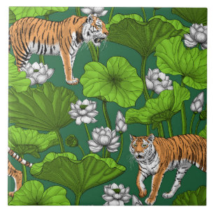 Carreau Tigres dans l'étang blanc de lotus