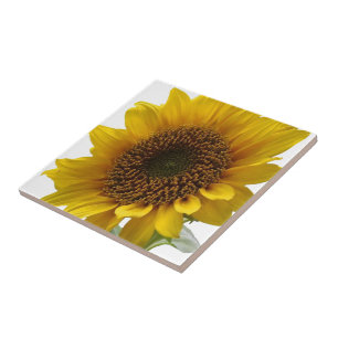 Carreau Tile de céramique tournesol