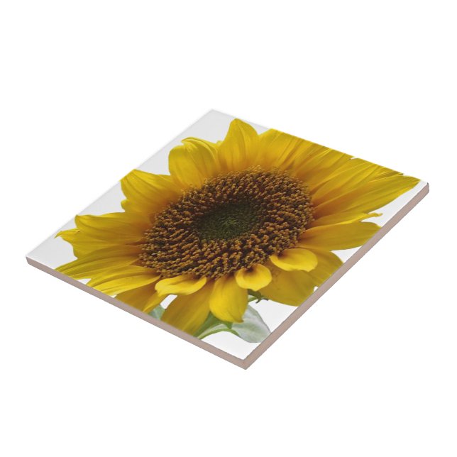 Carreau Tile de céramique tournesol (Côté)