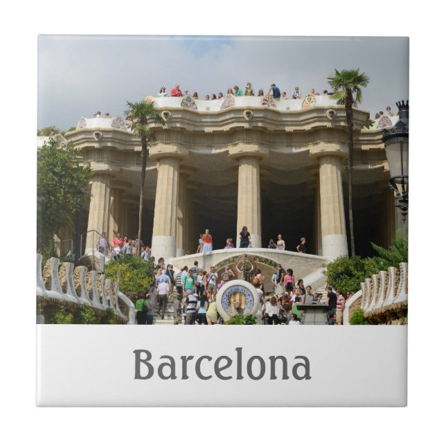 Carreau Tile de Park Guell (Devant)