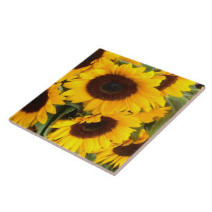 Carreau Tile de tournesol