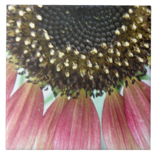 Carreau Tile de tournesol rose