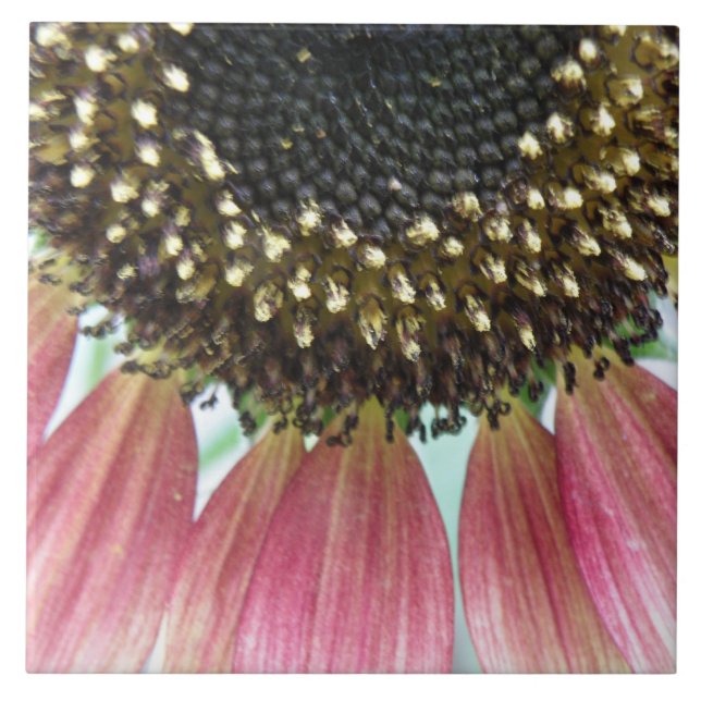 Carreau Tile de tournesol rose (Devant)